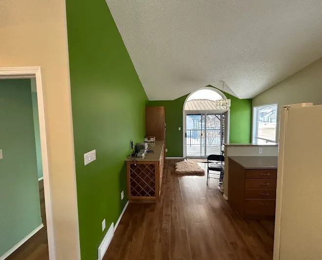 Bold green feature wall painted in an open-plan living space
